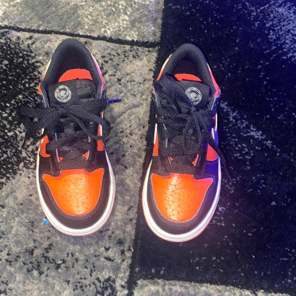 12c Nike Dunks